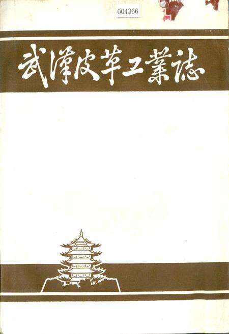 《武汉皮革工业志》.pdf电子版_湖北省志缩略图