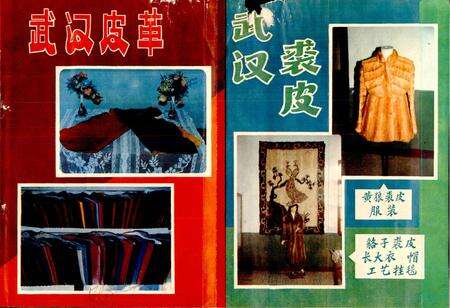 《武汉皮革工业志》.pdf电子版_湖北省志预览图1