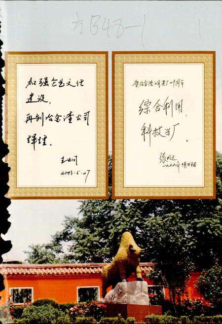 《武钢冶金渣公司志》.pdf电子版_湖北省志预览图5