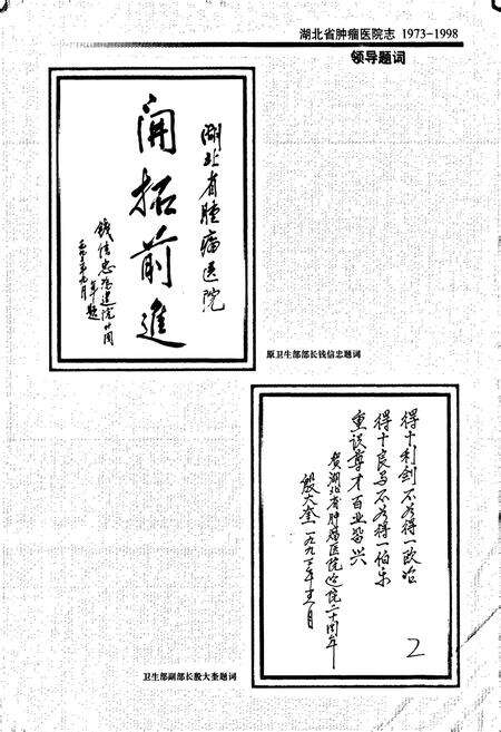 《湖北省肿瘤医院志》.pdf电子版_湖北省志预览图2