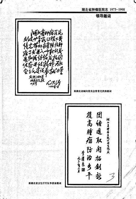 《湖北省肿瘤医院志》.pdf电子版_湖北省志预览图4