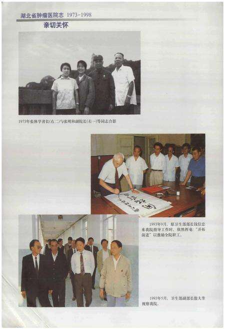 《湖北省肿瘤医院志》.pdf电子版_湖北省志预览图5