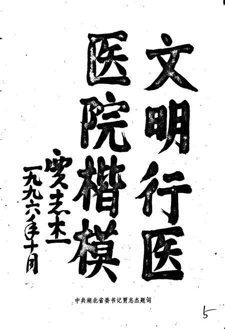 《协和医院志（3）》.pdf电子版_湖北省志预览图5