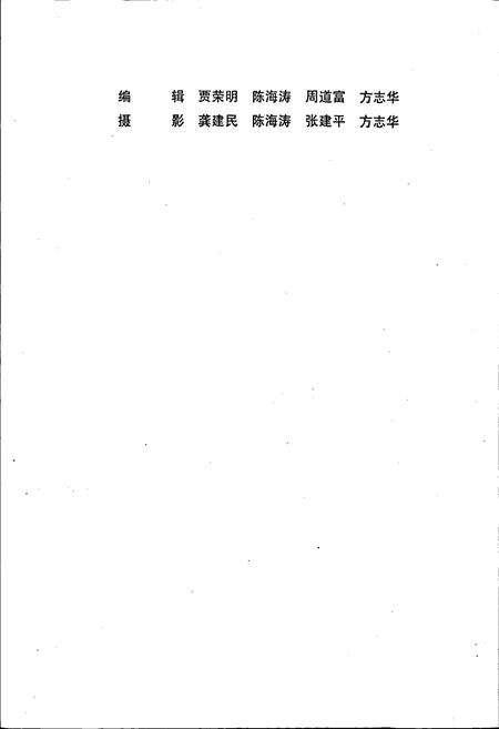 《襄樊电力工业志》.pdf电子版_湖北省志预览图4