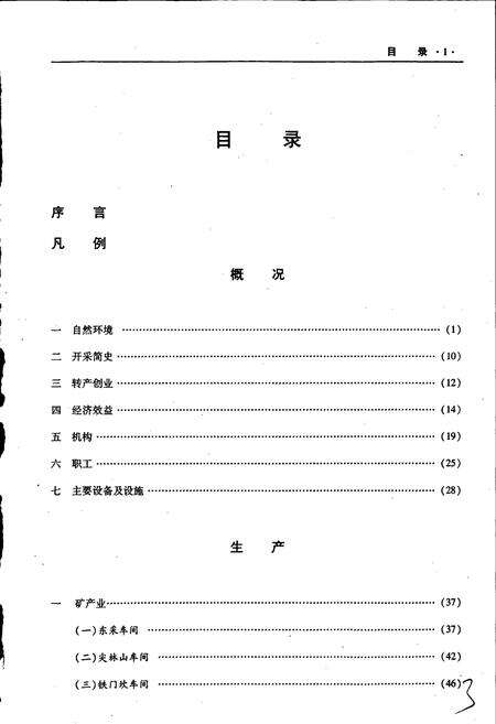 《大冶铁矿志第三卷》.pdf电子版_湖北省志预览图4