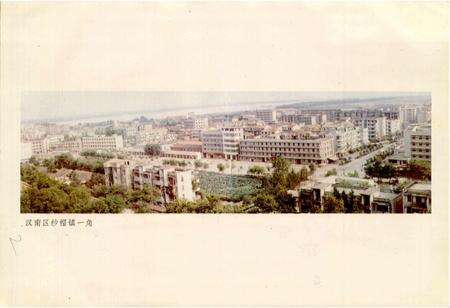 《汉南农垦志》.pdf电子版_湖北省志预览图5