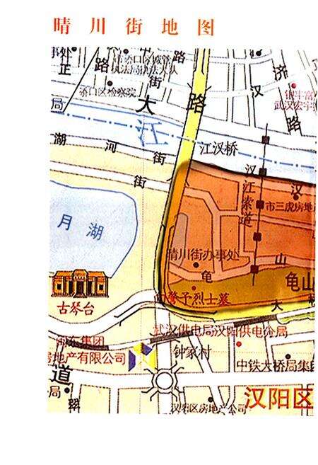 《晴川街志》.pdf电子版_湖北省志预览图2
