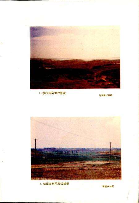 《武昌县土壤志》.pdf电子版_湖北省志预览图2