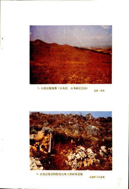 《武昌县土壤志》.pdf电子版_湖北省志预览图4