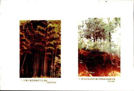 《武昌县土壤志》.pdf电子版_湖北省志预览图5