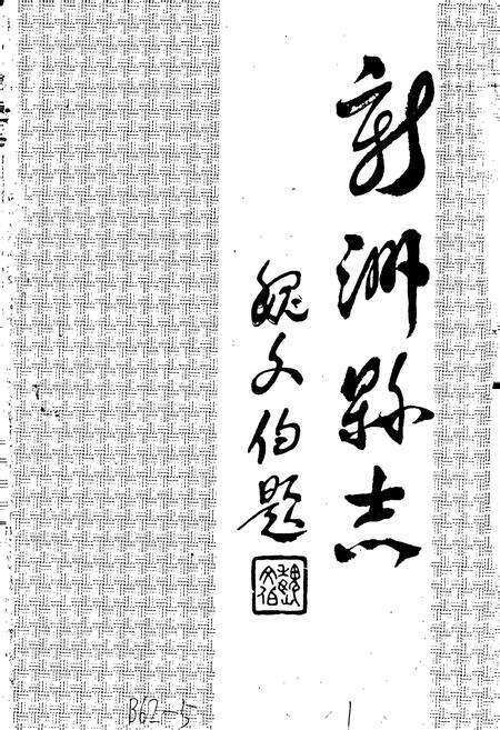 《新洲县志》.pdf电子版_湖北省志预览图1