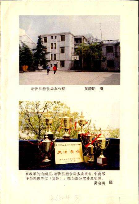《新洲县粮食志》.pdf电子版_湖北省志预览图1