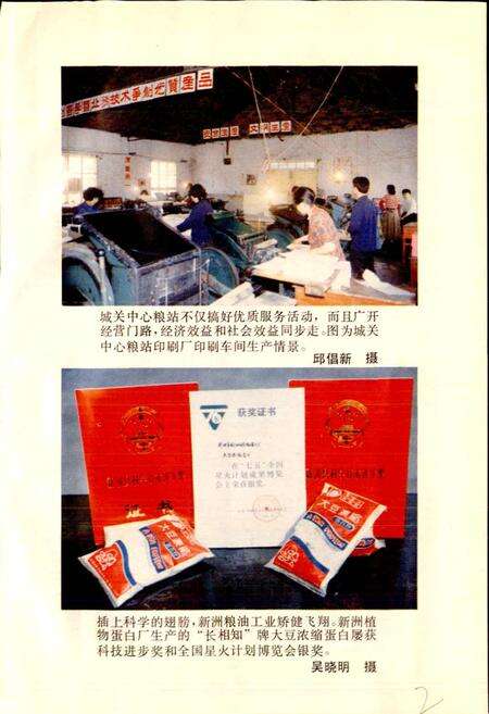 《新洲县粮食志》.pdf电子版_湖北省志预览图3