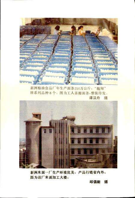 《新洲县粮食志》.pdf电子版_湖北省志预览图4