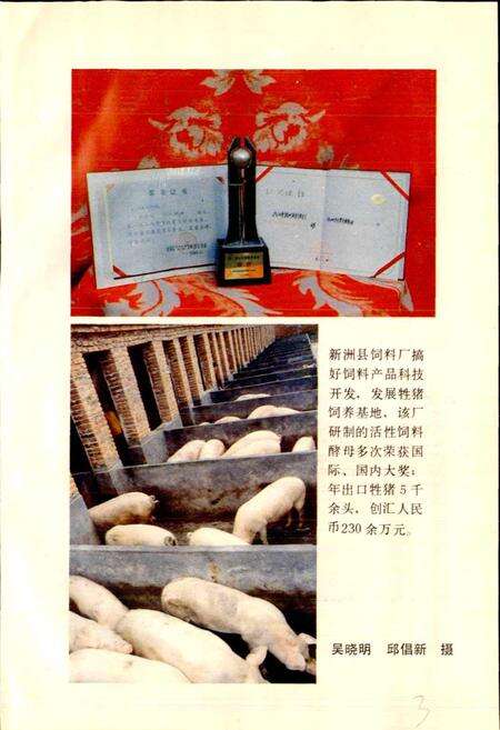 《新洲县粮食志》.pdf电子版_湖北省志预览图5