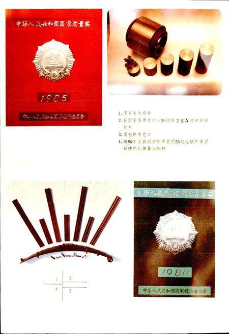 《大冶钢厂志 第二卷》.pdf电子版_湖北省志预览图5