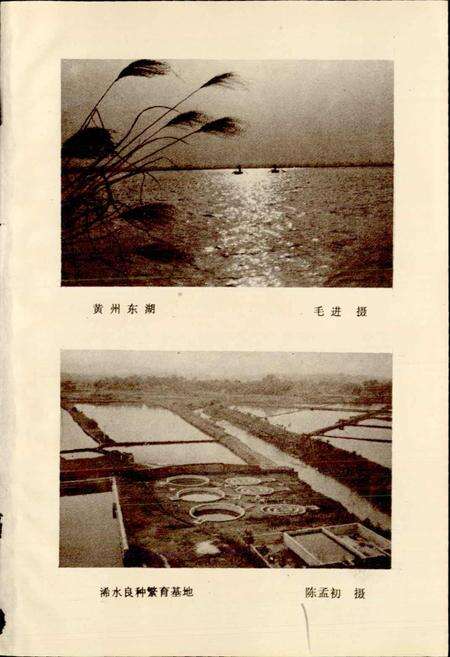 《黄冈地区水产志》.pdf电子版_湖北省志预览图2