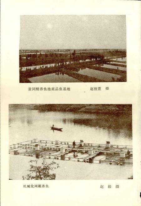 《黄冈地区水产志》.pdf电子版_湖北省志预览图3