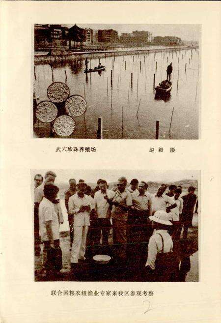 《黄冈地区水产志》.pdf电子版_湖北省志预览图4