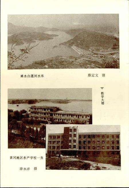 《黄冈地区水产志》.pdf电子版_湖北省志预览图5
