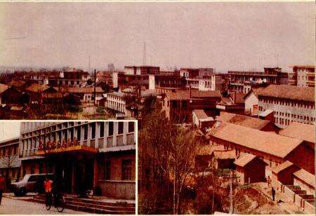 《草埠湖农场志》.pdf电子版_湖北省志预览图3