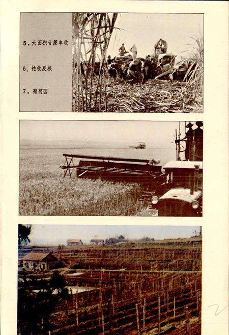 《草埠湖农场志》.pdf电子版_湖北省志预览图5