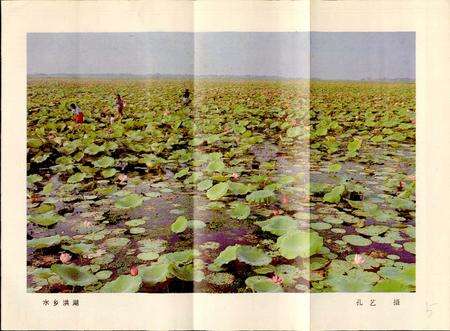 《洪湖县水产志》.pdf电子版_湖北省志预览图5