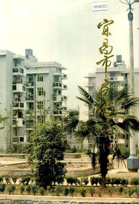 《宜昌市房地志》.pdf电子版_湖北省志缩略图