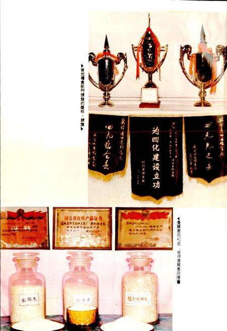 《通城县粮食志》.pdf电子版_湖北省志预览图5