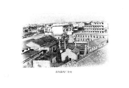 《嘉鱼县线厂志》.pdf电子版_湖北省志预览图3