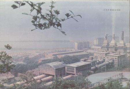 《华新厂志》.pdf电子版_湖北省志预览图2