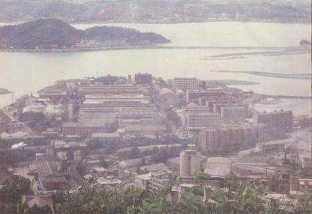 《黄石锻压机床厂志》.pdf电子版_湖北省志预览图3