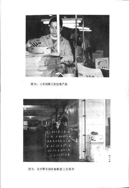 《黄石第三橡胶厂志》.pdf电子版_湖北省志预览图5