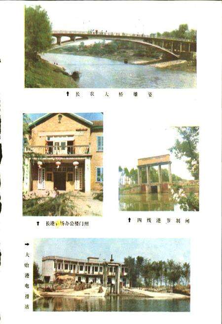 《长港农场志》.pdf电子版_湖北省志预览图4