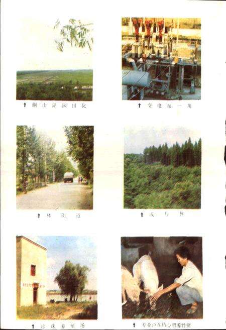 《长港农场志》.pdf电子版_湖北省志预览图5