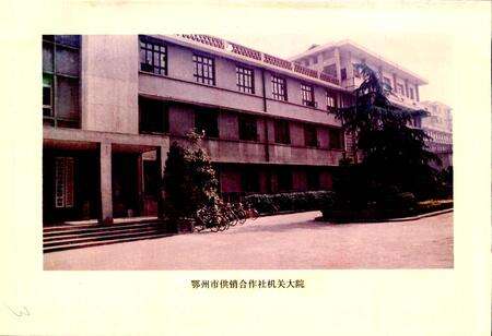 《鄂州市供销合作社志》.pdf电子版_湖北省志预览图3