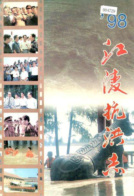 《98江陵抗洪志》.pdf电子版_湖北省志缩略图