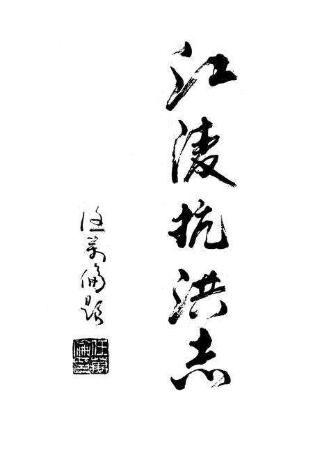 《98江陵抗洪志》.pdf电子版_湖北省志预览图1