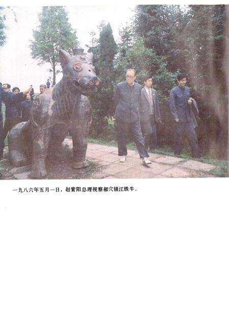 《郝穴镇志》.pdf电子版_湖北省志预览图5