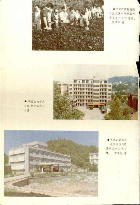 《鄂西农特志》.pdf电子版_湖北省志预览图5