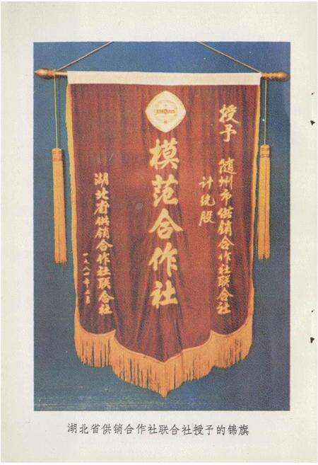 《随州市供销合作社志》.pdf电子版_湖北省志预览图3