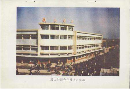 《随州市供销合作社志》.pdf电子版_湖北省志预览图5