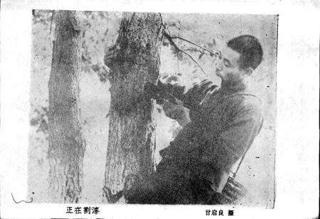 《湖北省竹溪县地名志》.pdf电子版_湖北省志预览图5