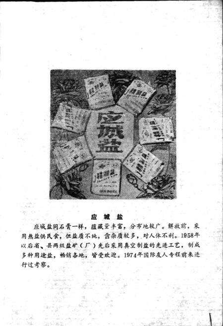 《湖北省应城县地名志》.pdf电子版_湖北省志预览图1