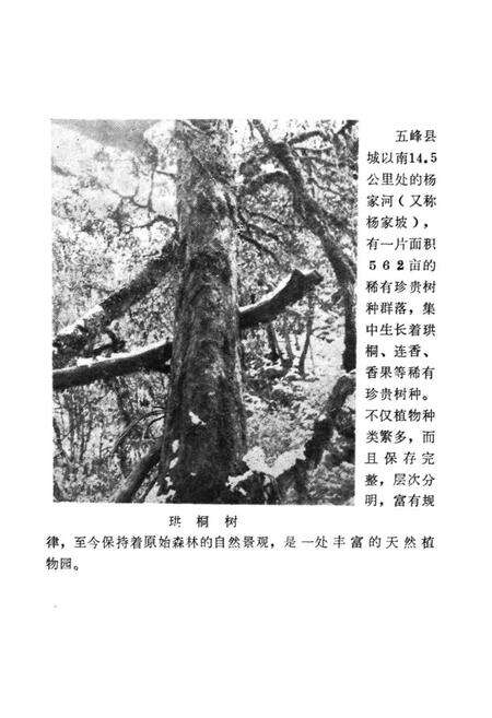 《湖北省五峰县地名志》.pdf电子版_湖北省志预览图5