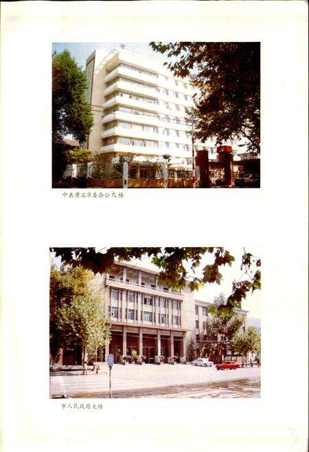 《黄石市地名志》.pdf电子版_湖北省志预览图5