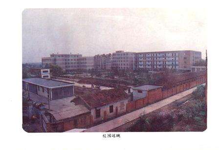 《湖北省建材学校志(1975-1990)》.pdf电子版_湖北省志预览图4