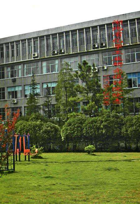 《湖北省化学工业研究设计院院志(1978-2008)》.pdf电子版_湖北省志预览图3