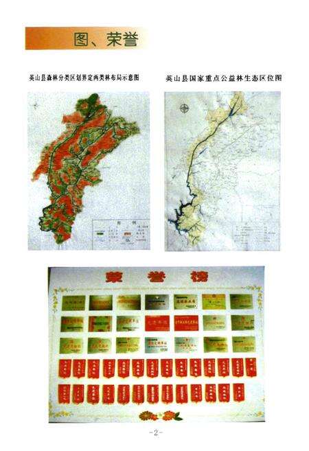《英山县林业志(一九八六年-二零零七年)》.pdf电子版_湖北省志预览图5