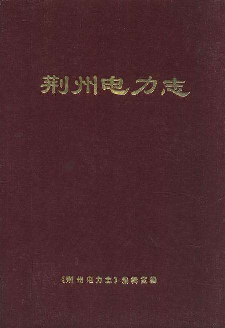 《荆州电力志》.pdf电子版_湖北省志缩略图
